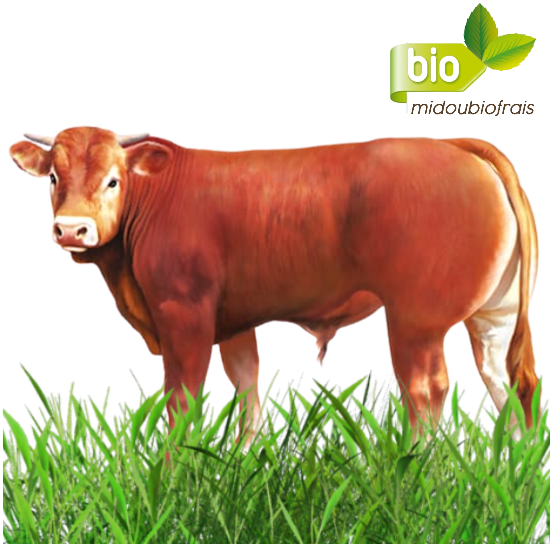 midoubiofrais