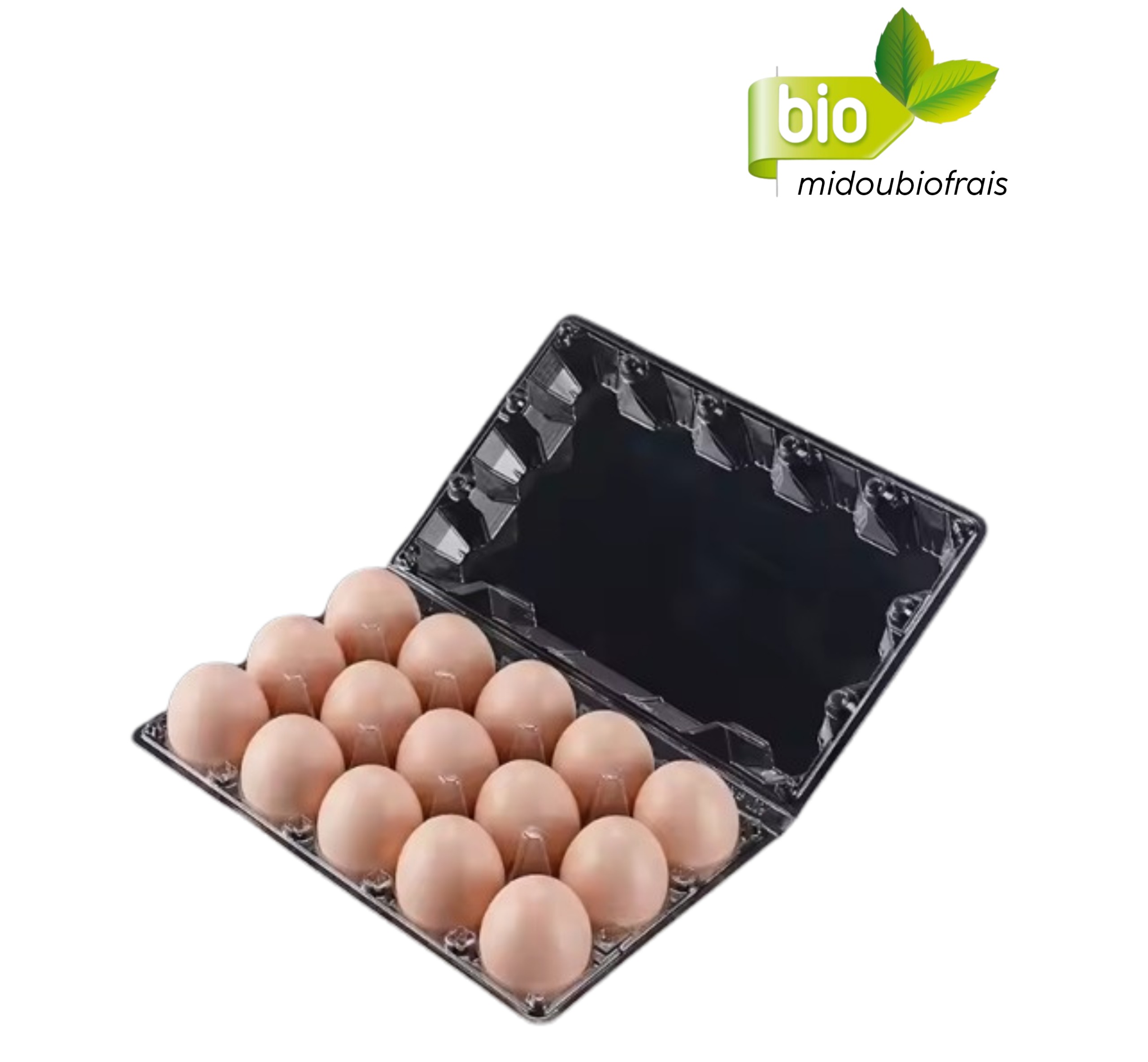Pack de 15 Œufs de poulet de table