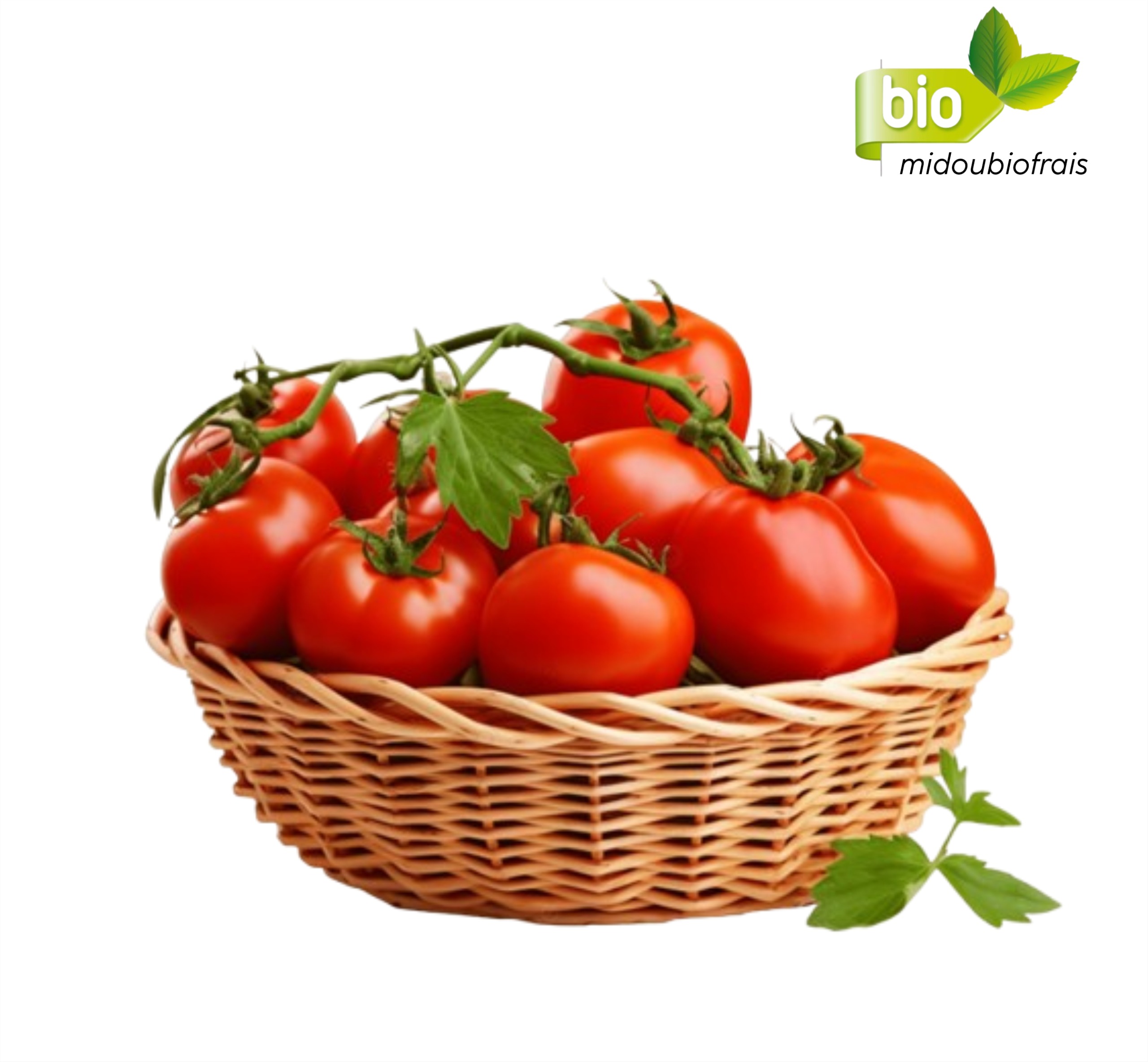 Tomate fraîche
