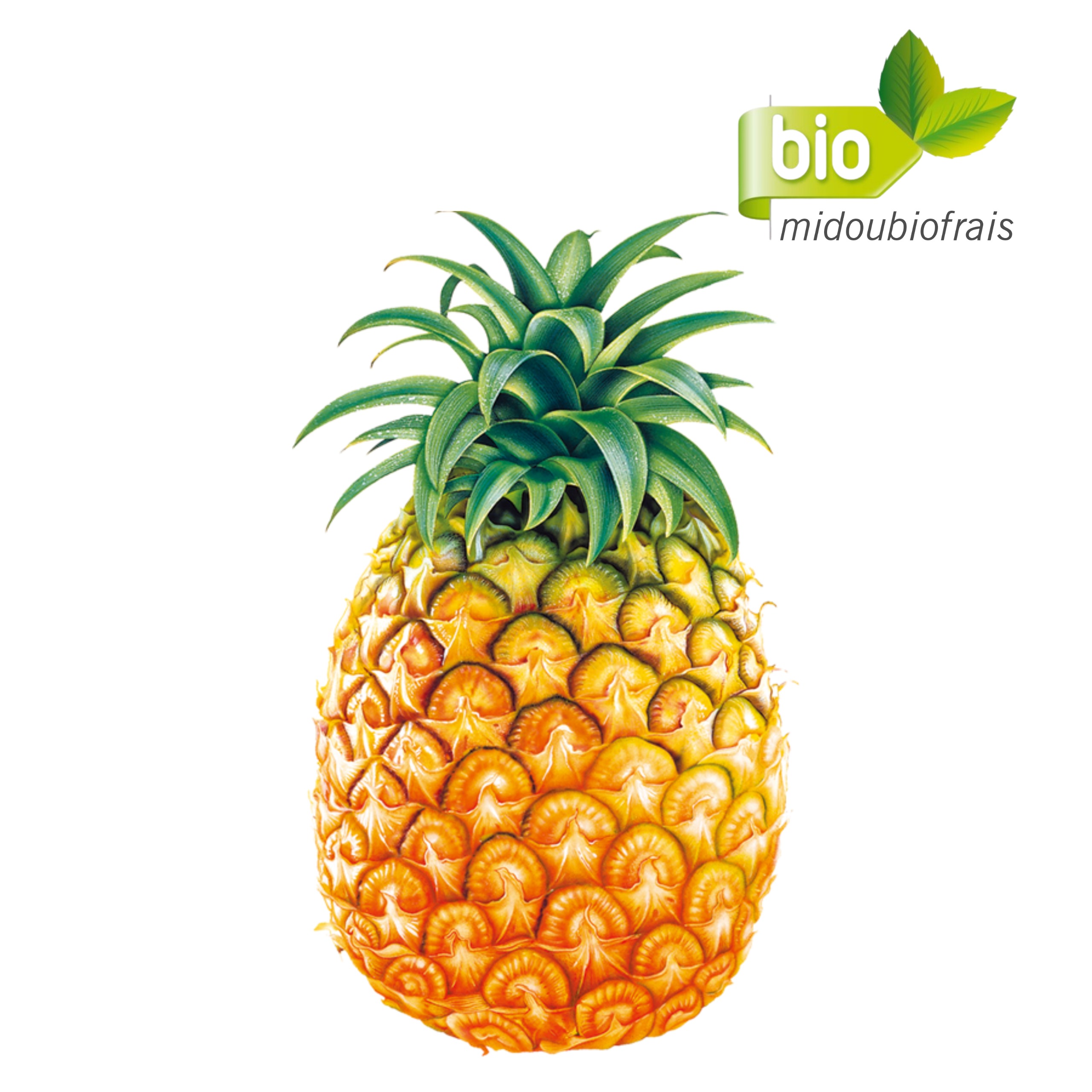 Ananas